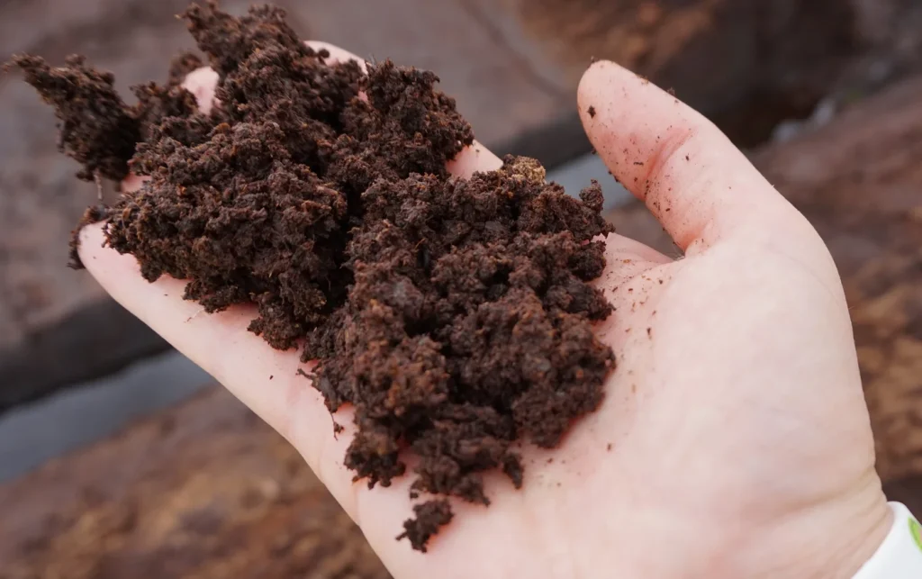Navigating the Peat Reduction Journey: How Horticultural Businesses in the UK Are Adapting to Legislation Changes 3 InnoFund advisers supporting UK businesses with innovation funding - InnoFund - R&D Tax & Innovation Funding